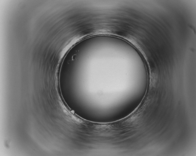 X0000102271341200808011419