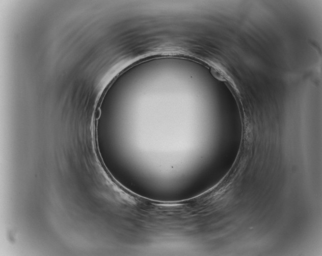 X0000102271343200808011419
