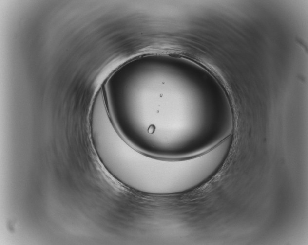 X0000102271344200808011419