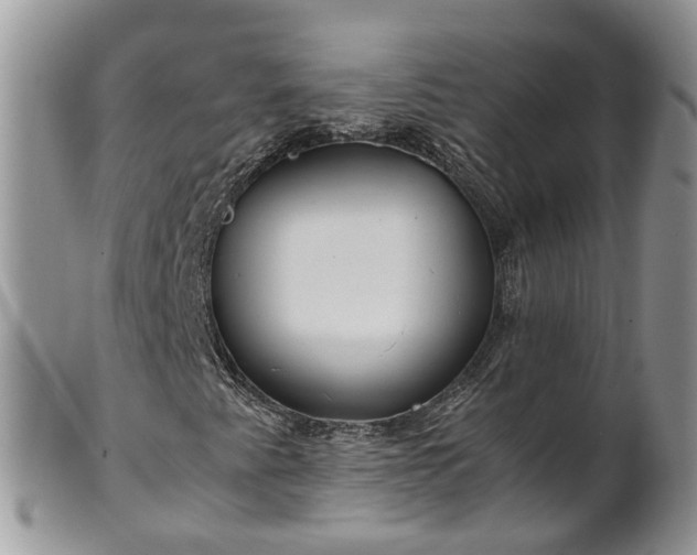 X0000102271345200808011418