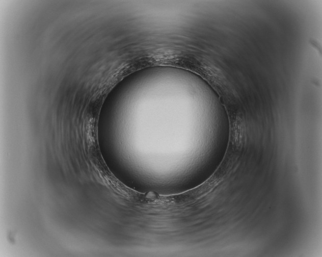 X0000102271346200808011418
