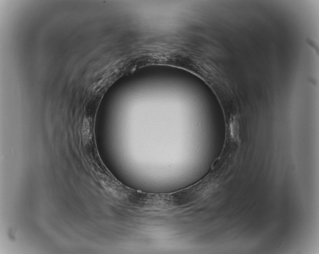 X0000102271347200808011418