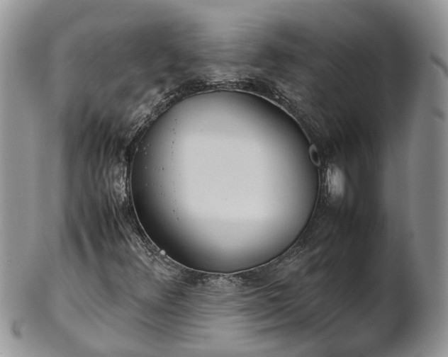 X0000102271348200808011418