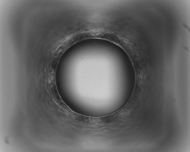 X0000102271349200808011418