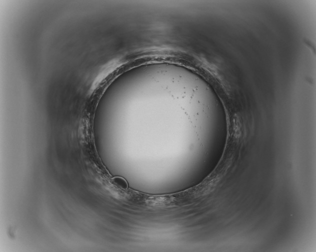 X0000102271352200808011418