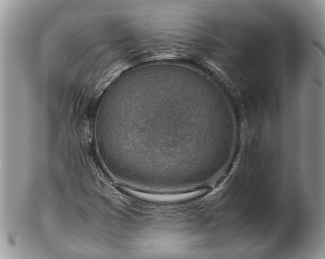 X0000102271353200808011418