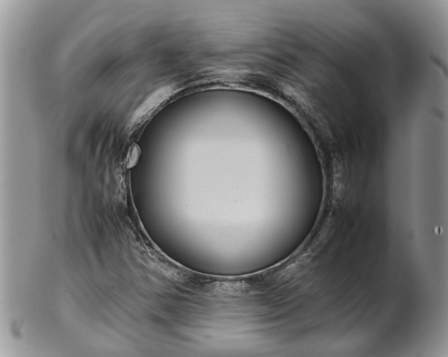 X0000102271354200808011418