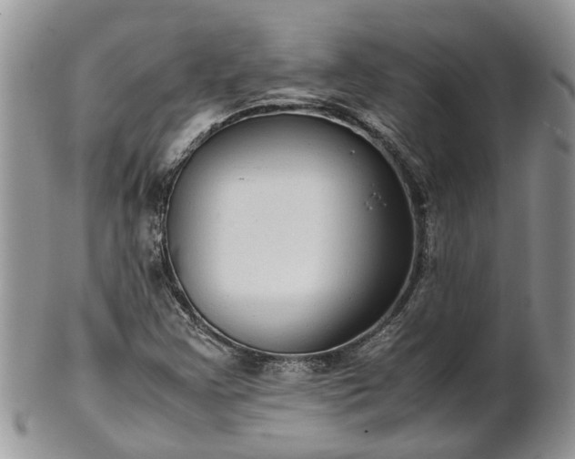 X0000102271355200808011418