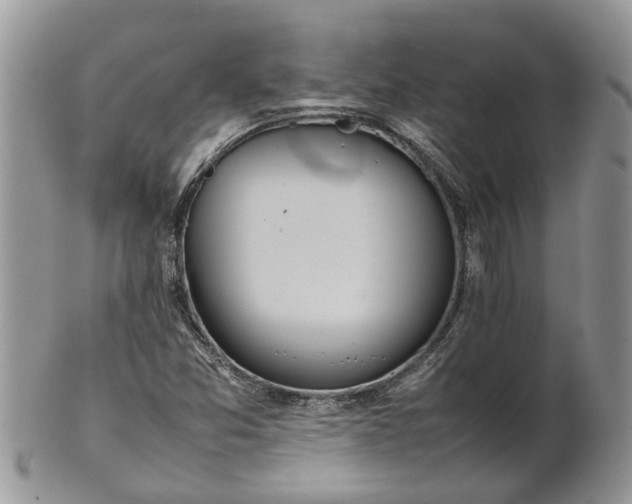 X0000102271357200808011418