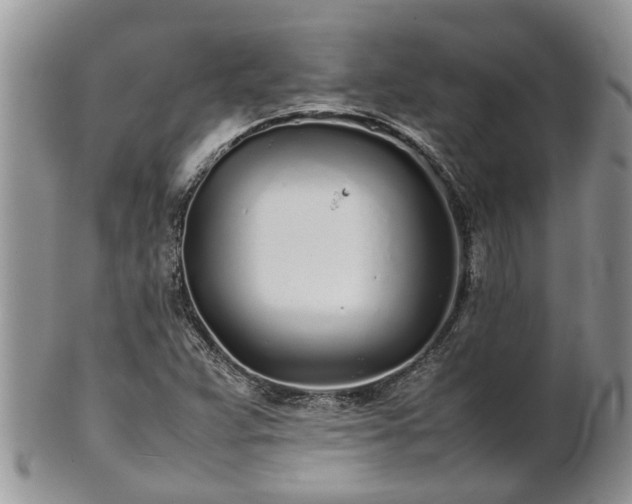 X0000102271359200808011418