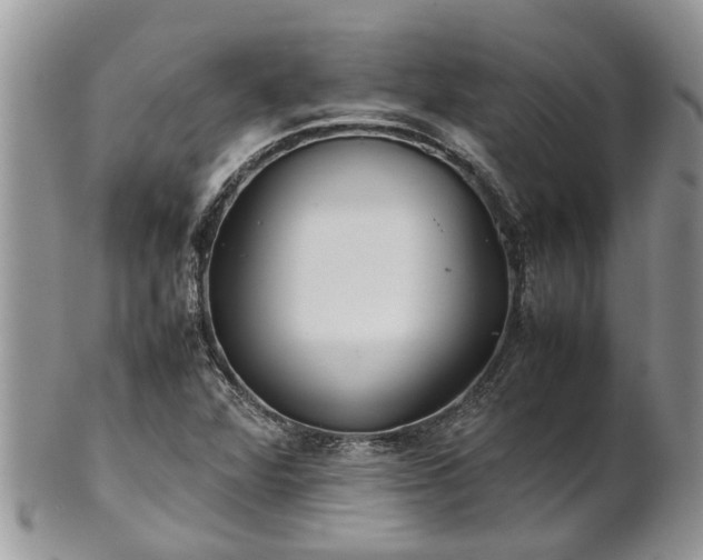 X0000102271360200808011418