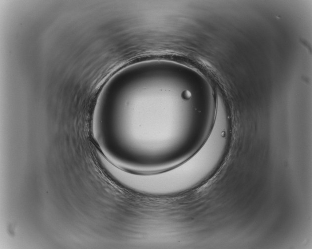 X0000102271361200808011418