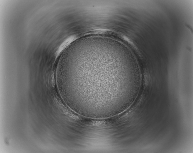 X0000102271362200808011418