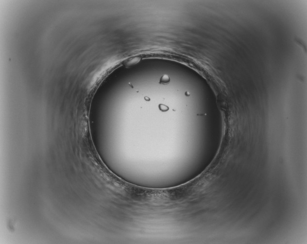 X0000102271363200808011418
