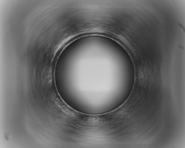 X0000102271364200808011418