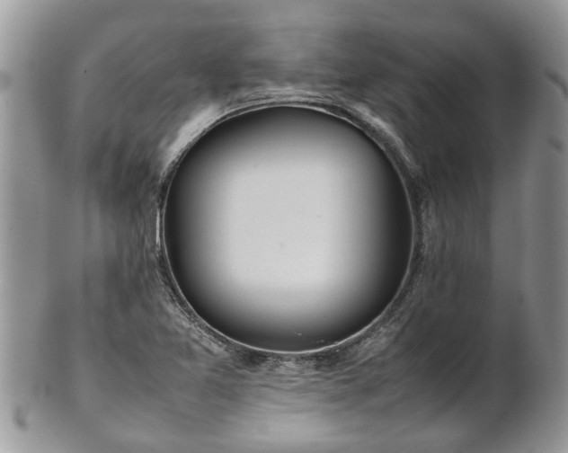 X0000102271365200808011418