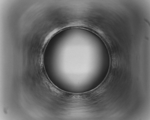 X0000102271366200808011418