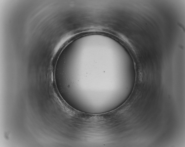 X0000102271368200808011418