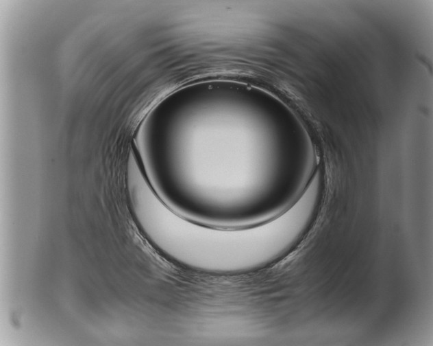 X0000102271369200808011418