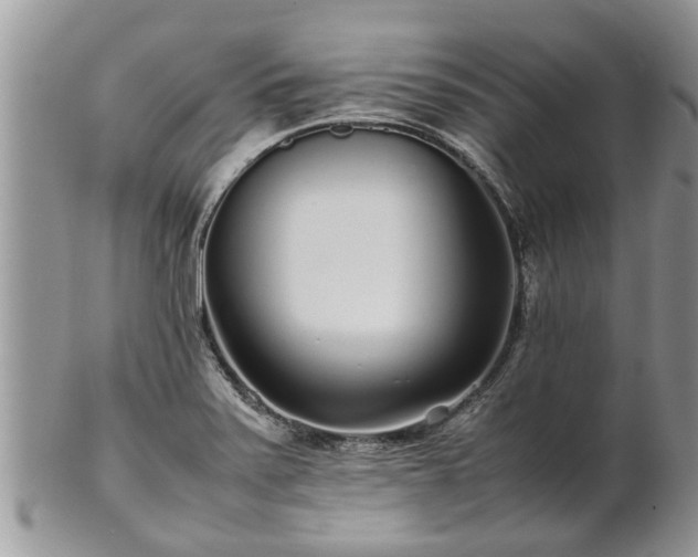 X0000102271371200808011418