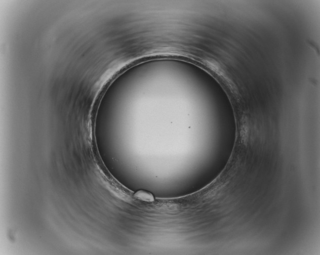 X0000102271372200808011418