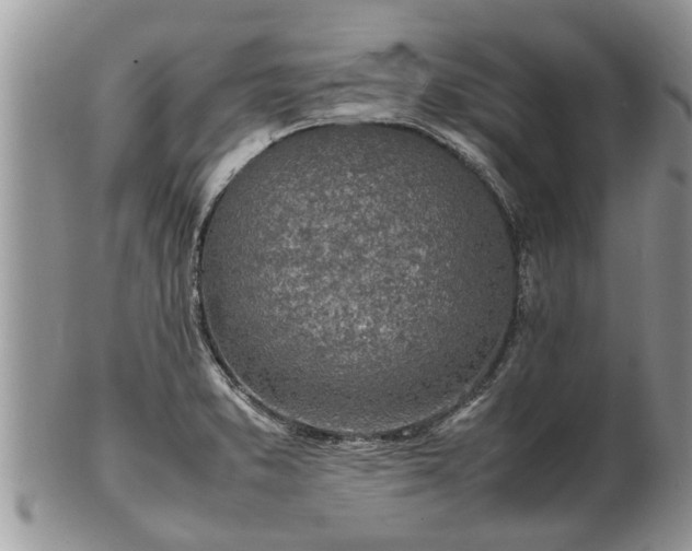 X0000102271373200808011418