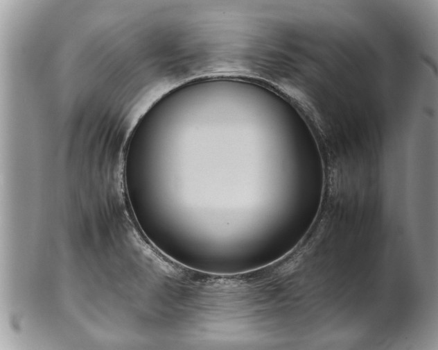 X0000102271374200808011418