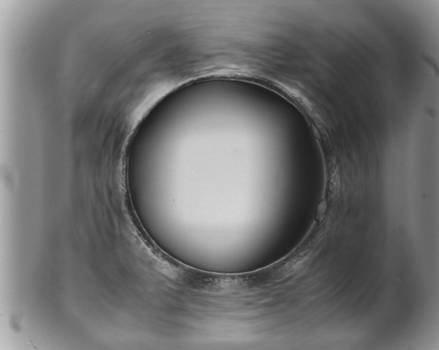 X0000102271375200808011418