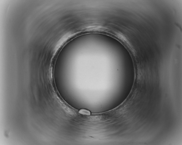 X0000102271376200808011418
