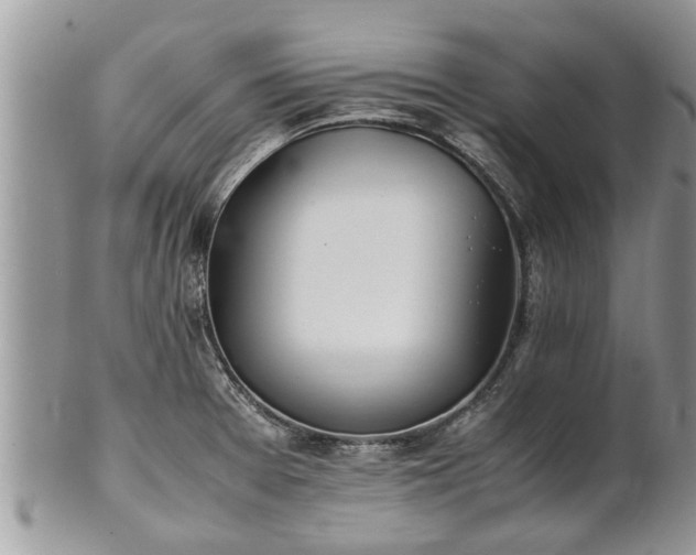 X0000102271377200808011418