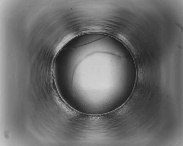 X0000102271378200808011418