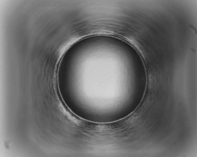 X0000102271379200808011418