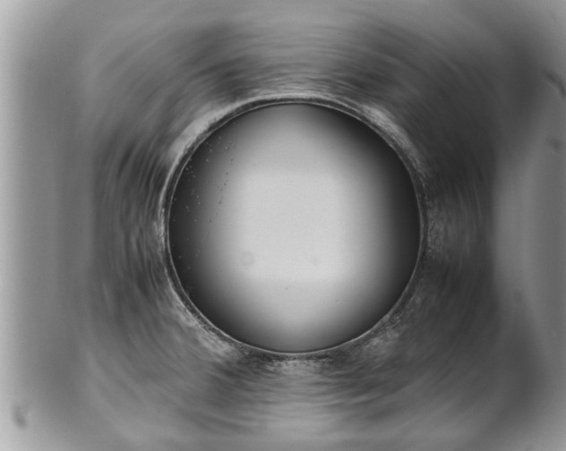 X0000102271380200808011418