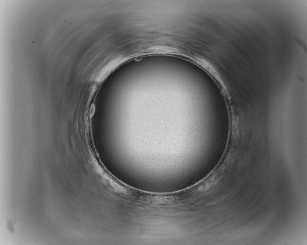 X0000102271381200808011418