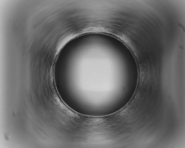 X0000102271382200808011418