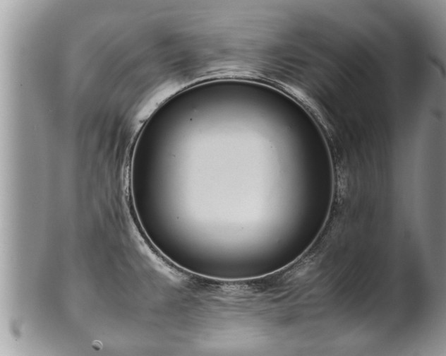 X0000102271383200808011418
