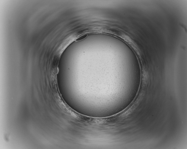 X0000102271385200808011418