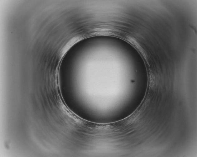X0000102271386200808011418