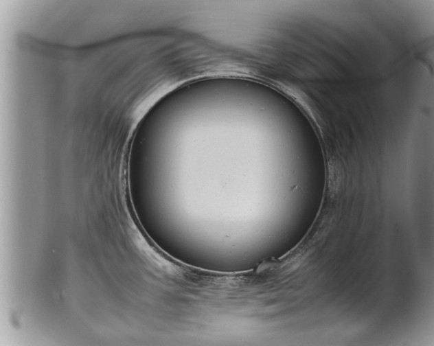 X0000102271387200808011418