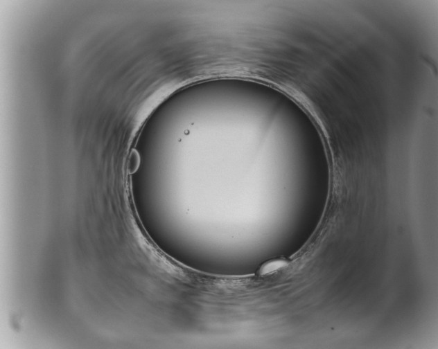 X0000102271389200808011418
