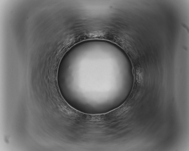 X0000102271393200808011417