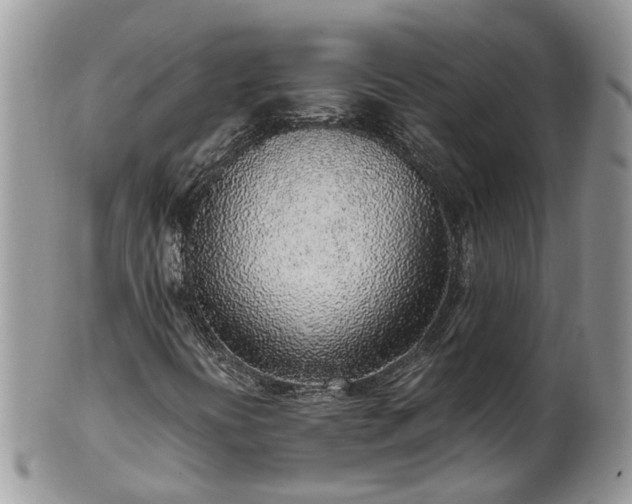 X0000102271394200808011417