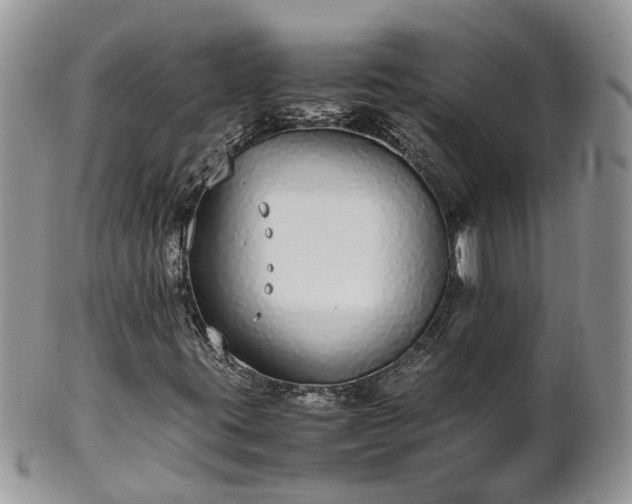 X0000102271395200808011417
