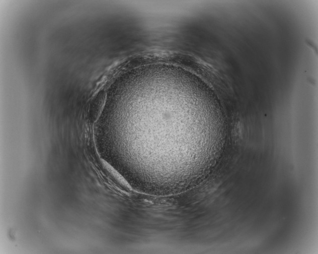 X0000102271397200808011417