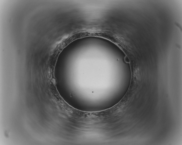 X0000102271398200808011417