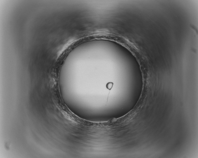 X0000102271400200808011417