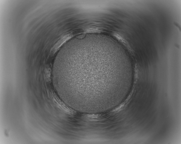 X0000102271401200808011417