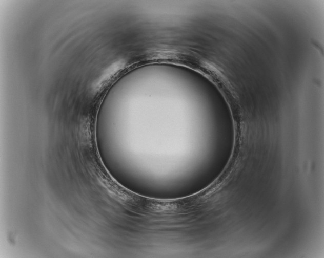 X0000102271403200808011417