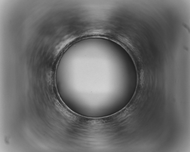 X0000102271404200808011417