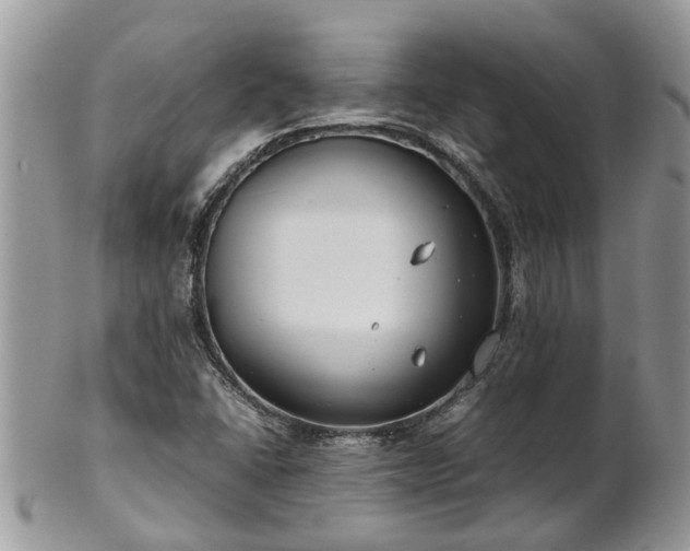 X0000102271406200808011417